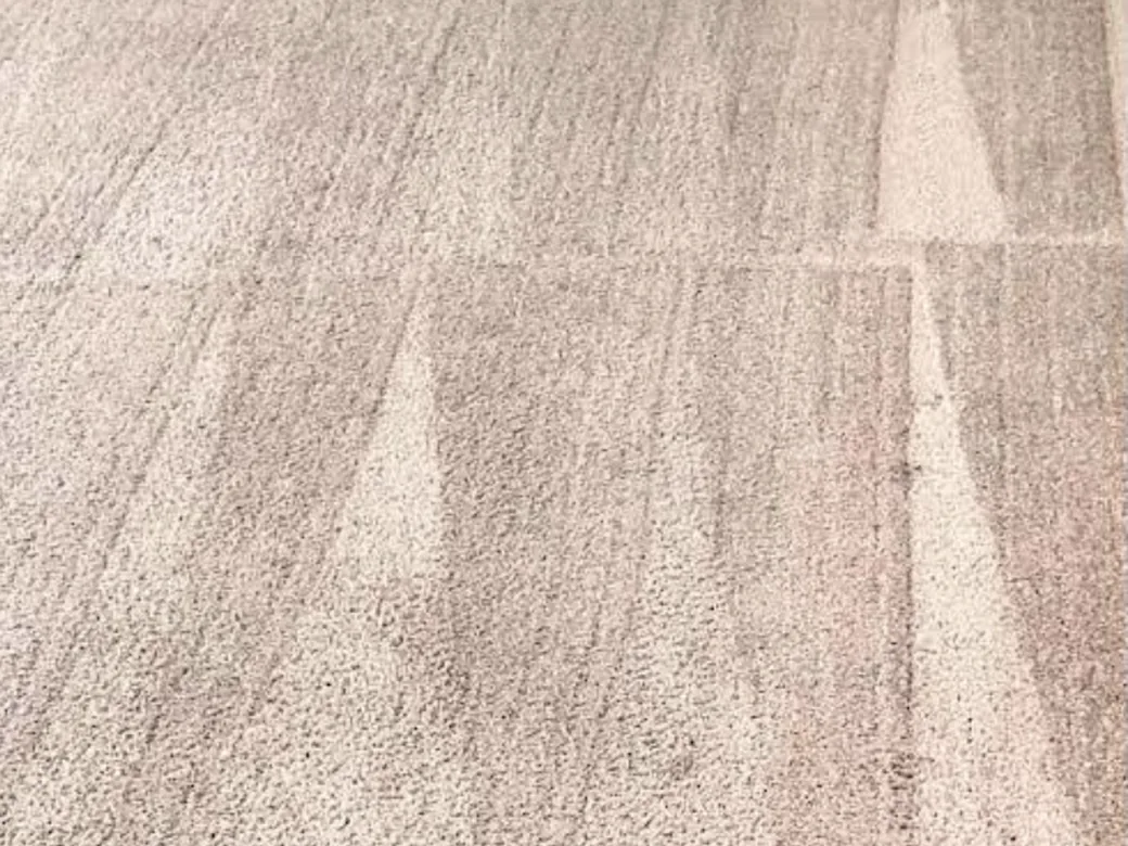 Living room carpet after cleaning