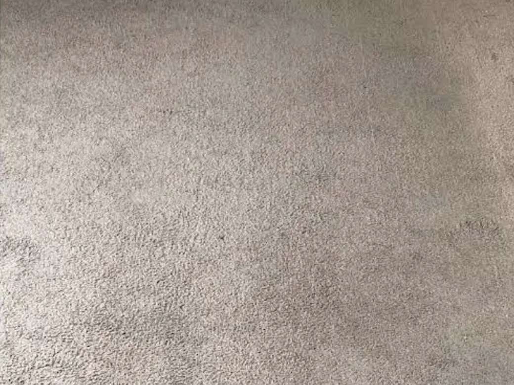 Living room carpet before cleaning